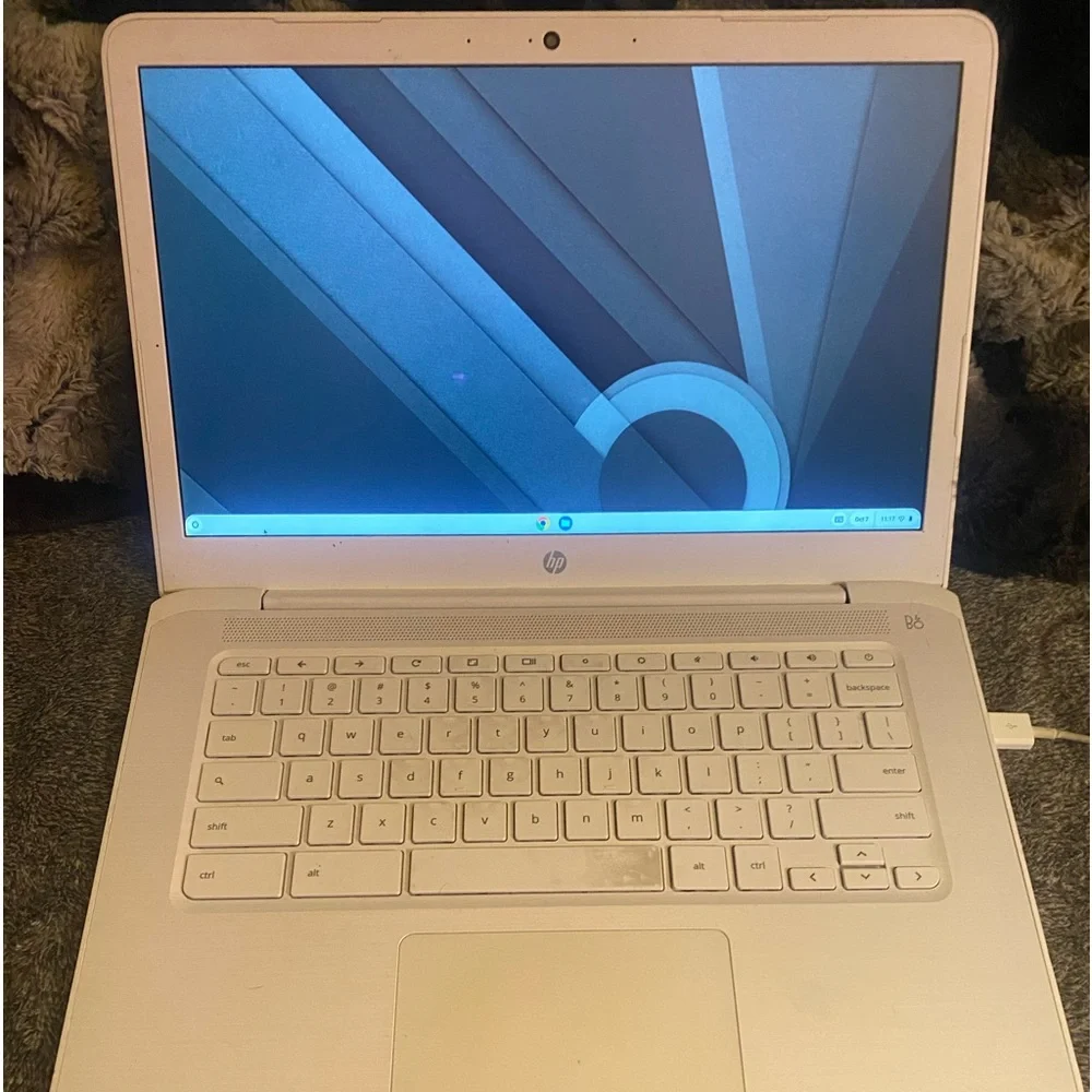 Google Chromebook. Works Great!
